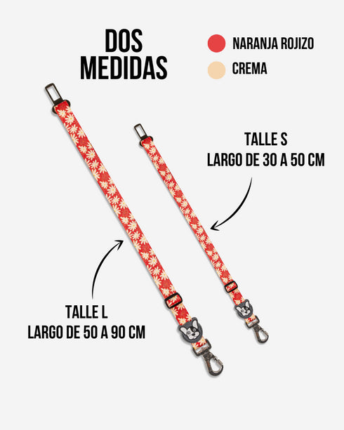 Cinturón de seguridad Margarita